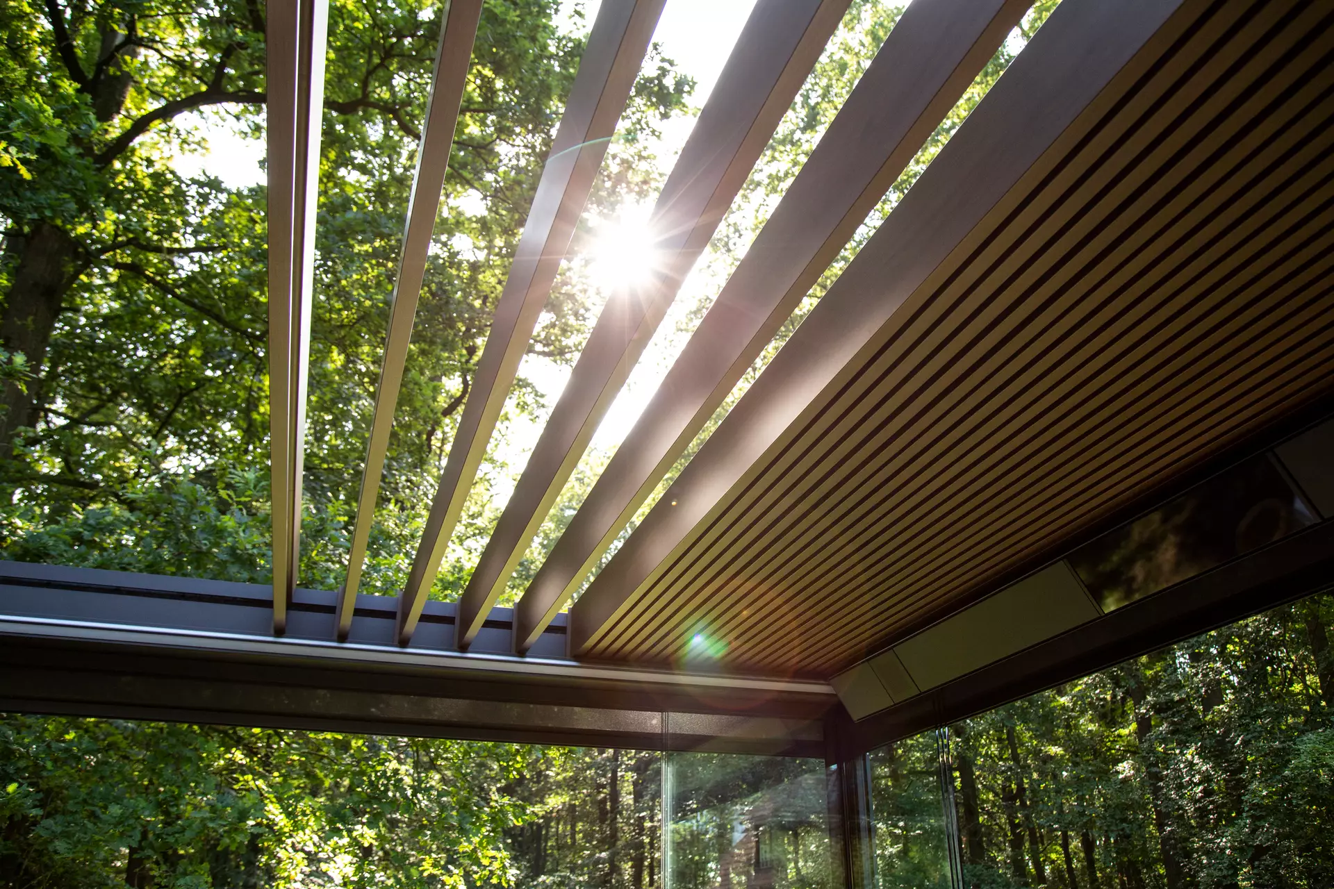 Pergolan lamellikatto, jonka läpi paistaa aurinko. Taustalla vehreää metsää.
